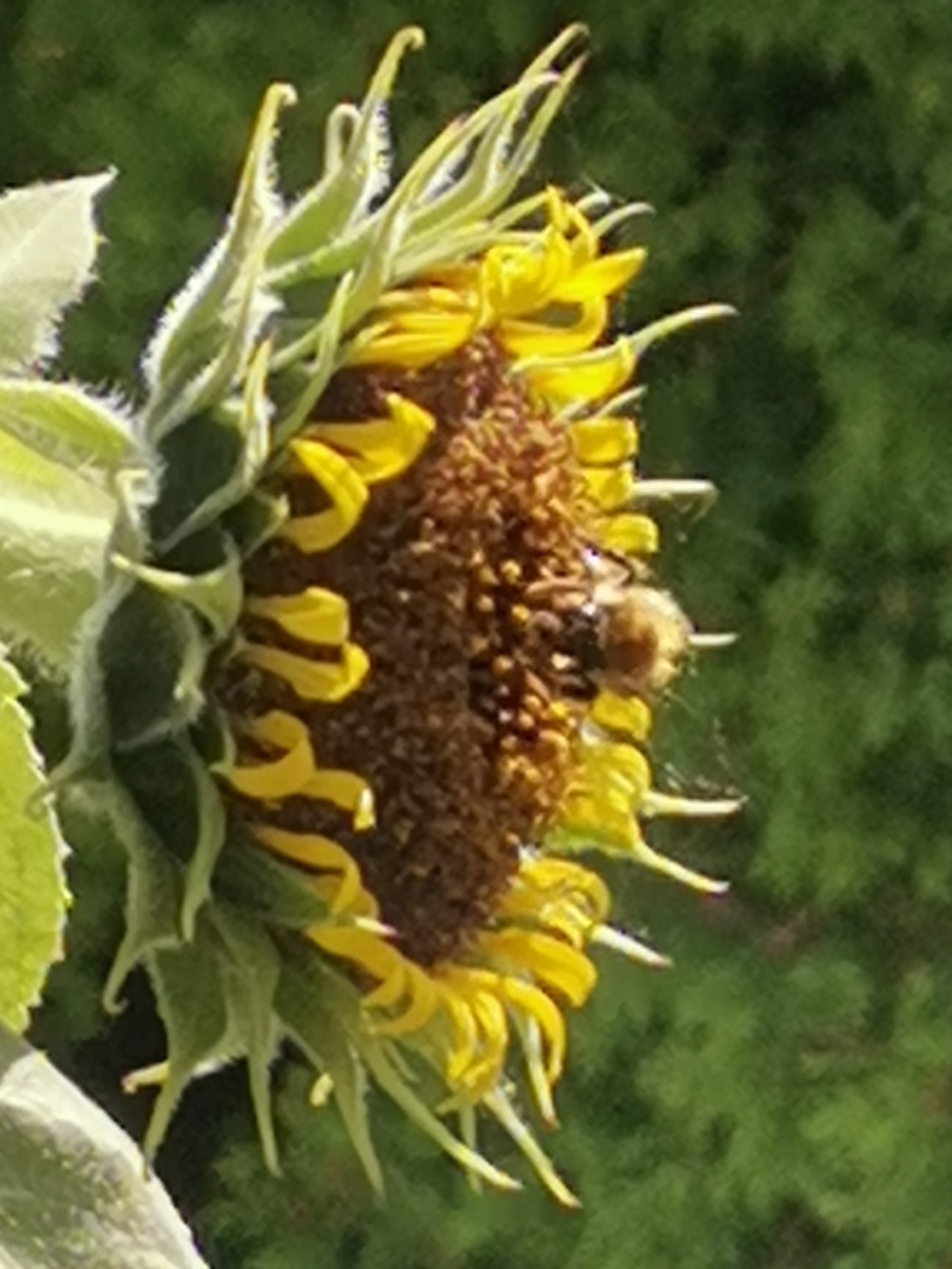 EINZELBEGLEITUNG BEI KONFLIKTEN